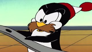 Picolino em Português 🐧Um Pinguim e a Temporada de Gripe 🐧Episódios completos  Desenhos Ani [upl. by Eirojram]