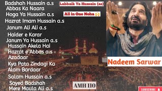 Nadeem Sarwar all nohay  Nadeem Sarwar all noha cassete nadeemsarwar karbala nohastatus viral [upl. by Jareen]