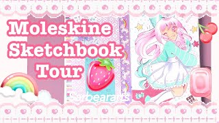 💗Moleskine Sketchbook Tour 💗 [upl. by Barty]