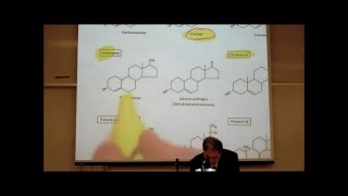 PHARMACOLOGY ACTIONS amp USES OF CORTICOSTEROIDS by Professor Fink [upl. by Giesecke]