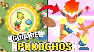 ✨Cómo Hacer el POKOCHO PERFECTO Para Concurso  Pokémon Diamante Brillante Perla Reluciente [upl. by Aderf288]