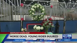 9yearold rider injured after horse dies during Worlds Championship Horse Show [upl. by Crystie]