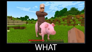 Minecraft wait what meme part 381 realistic Villager and Pig [upl. by Maure912]