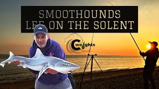 Smoothound Fishing Lee On The Solent With thesweetcornkid266  Sea Fishing UK [upl. by Dragone]