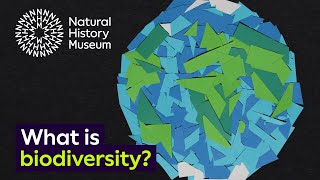 What is biodiversity [upl. by Cela]