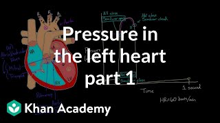 Pressure in the left heart  part 1  Circulatory system physiology  NCLEXRN  Khan Academy [upl. by Brod]