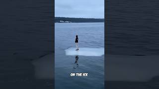 He drifted to the middle of the river on the ice😱shorts [upl. by Alcine]