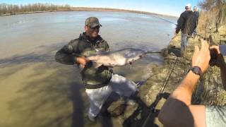 Williston ND Paddlefish and Gar [upl. by Ttirrem]