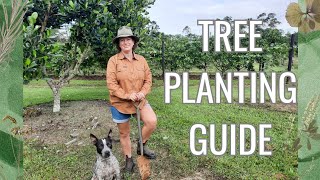 Tree planting guide  Our top tips  Step by Step [upl. by Burny]