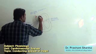 Phy Conducting system of Heart [upl. by Tirrej]