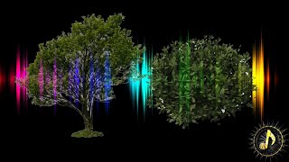 Trees  Bushes Rustling Sound Effect [upl. by Laws]