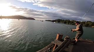 Fishing at Mangonui wharf [upl. by Ferneau]