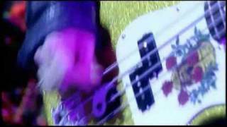 Dick Dale  Misirlou live [upl. by Imray42]