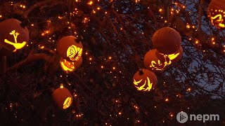 The Incredible Naumkeag Pumpkin Show  Connecting Point  Oct 29 2021 [upl. by Allecsirp997]