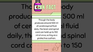 🧠 💧 Maximum Fluid Capacity of Your Brain—Can You Guess It mededtrivia brainteasers brainfacts [upl. by Ami]