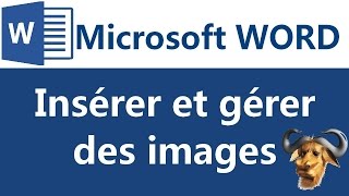 Insérer et gérer des images sous Microsoft Word 2007 2010 [upl. by Eimrej]