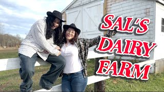 SAL’S DAIRY FARM [upl. by Myo]