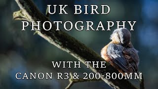 A Spring Visit To The Hills  UK Bird Photography [upl. by Ydoow]