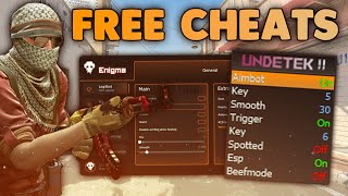 FREE CS2 CHEATS You Should Check Out In 2024 [upl. by Eisaj354]