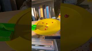 Marble Run☆Handmade Wooden Slope amp HABA  Yellow Circular Slope asmr [upl. by Noeled807]