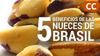 5 Beneficios de la Nuez de Brasil  Ciencia de la Comida [upl. by Kwang]