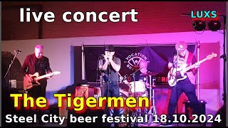 The Tigermen live at Kelham Island Beer Festival 171024 [upl. by Veal]