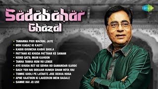 Sadabahar Ghazal  Jagjit Singh Ghazal  Tanha Tanha Hum Ro Lenge  Superhit Ghazals  Hindi Ghazal [upl. by Miarfe]