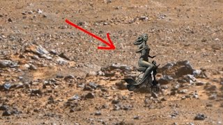 Incredible Video of Mars Perseverance Rover Captured Stunning Landscape of Mars Surface Sol 1285 [upl. by Gnen]