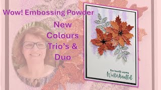 Wow Embossing Powders NEW COLOURS gorgeous sparkling winter card [upl. by Efron]