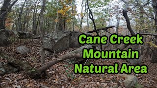 Cane Creek Mountains Natural Area Exploring  LongLeaf Pines in Piedmont NC [upl. by Ahsrats]