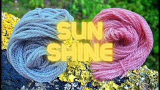 Naturally Dyeing with Xanthoria parietina I Maritime Sunburst Lichen ​⁠WildcraftDyeing [upl. by Atnuahc]