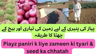 onion 🌰 seed cultivation on 10  11 october 2024 [upl. by Enomed]