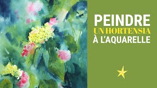 Peindre des hortensias à laquarelle  Difficile [upl. by Maddeu24]