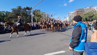 El Regimiento de Granaderos a Caballo en el desfile militar del 9 de Julio de 2024 [upl. by Esened947]