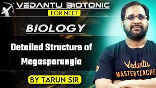 NEET  Detailed Structure of Megasporangia  A Comprehensive Guide  NEET botany [upl. by Annadiane]