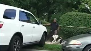 Video captures dog attack near Detroit school [upl. by Targett]