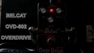 Belcat ODV502 Overdrive  Distortion Guitar Effect Pedal [upl. by Nwahsar]