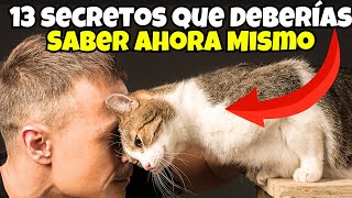 13 COMPORTAMIENTOS para ENTENDER a tu GATO 😺 [upl. by Radburn]