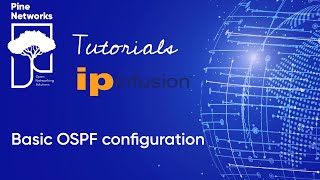 IP Infusion OcNOS Tutorial 5  Basic OSPF configuration [upl. by Valerye399]