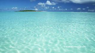 Tropical Waters Cook Islands [upl. by De Witt838]