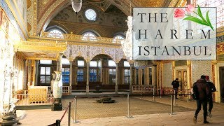 THE HAREM of the SULTANS in the TOPKAPI PALACE  ISTANBUL VLOG [upl. by Cole889]