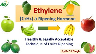 EthyleneC2H4 a Ripening Hormone Healthy amp Legally Acceptable Technique of Fruits Ripening [upl. by Cleodal]