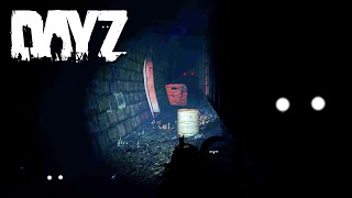 O TÚNEL DE NAMALSK  DayZ Namalsk [upl. by Kimon]