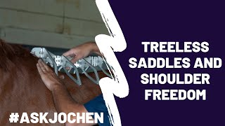 Treeless Saddles  ASKJochen  Livestream QampA Excerpt [upl. by Rossie452]