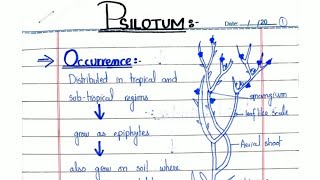 PSILOTUM General characters and Reproduction In hindiUrdu ADSBSCBS [upl. by Joselyn687]