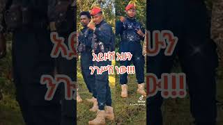 አምና አድስ አበባ  Best Amharic Music [upl. by Megen]