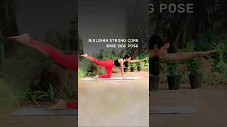 How To Build Core Strength  Bird Dog Pose  shorts buildingstrongcore [upl. by Huberto563]