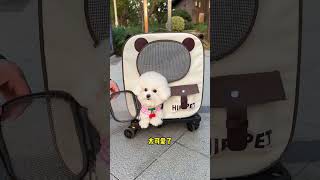 This pet trolley box is so convenient it can be removed as a backpack Pet trolley casePet bac [upl. by Teerell309]