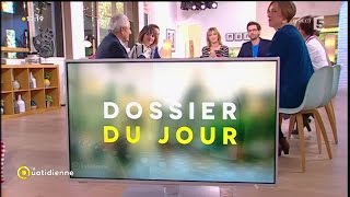 Fers à repasser centrales vapeurs défroisseurs on a testées   La Quotidienne [upl. by Ettennil]