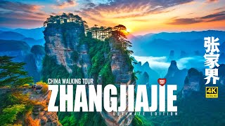 Unbelievable sights Walking in Zhangjiajie The First National Forest Park in China [upl. by Neltiak871]